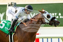 Del Mar Horse Racing