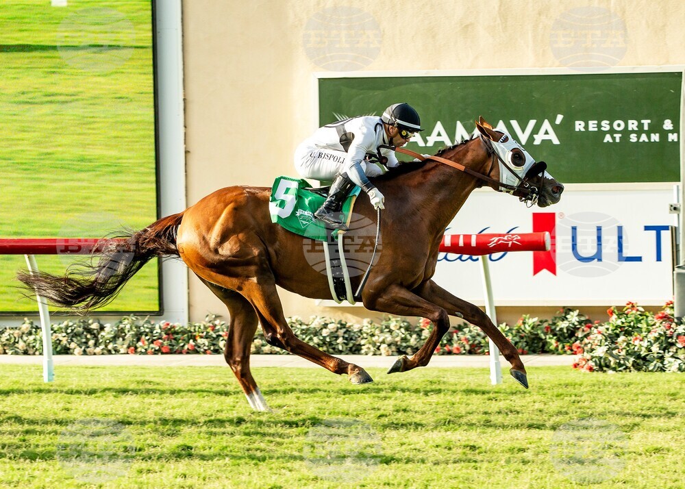 Del Mar Horse Racing
