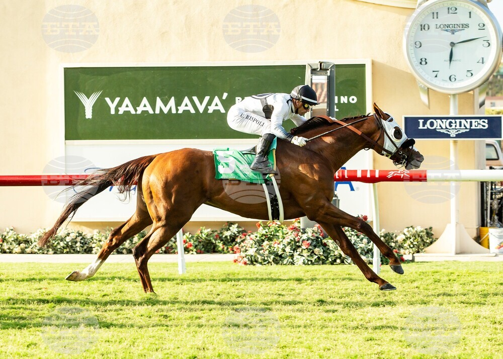 Del Mar Horse Racing