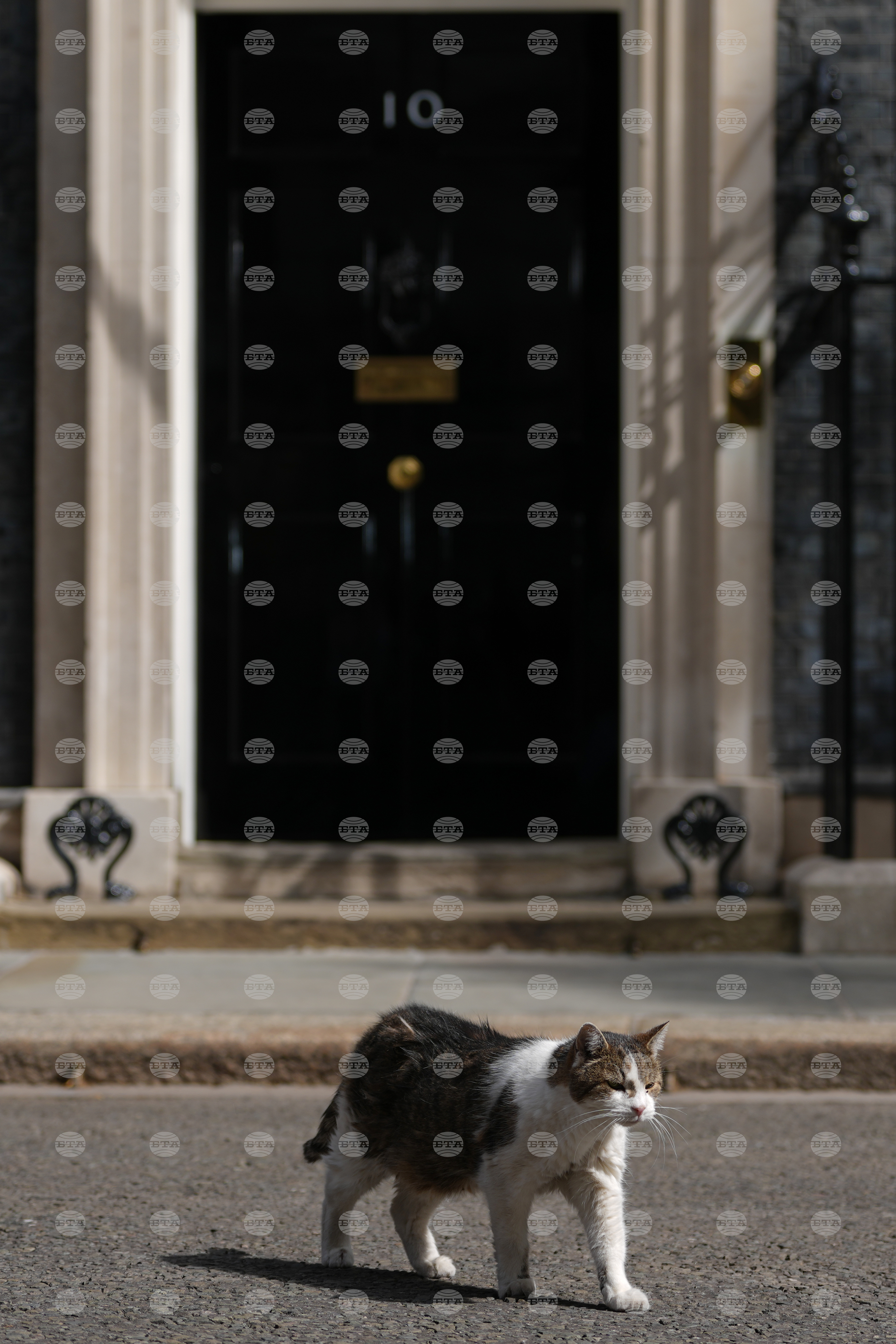 Britain Politics