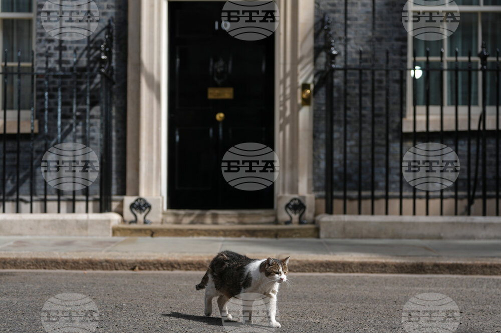 Britain Politics