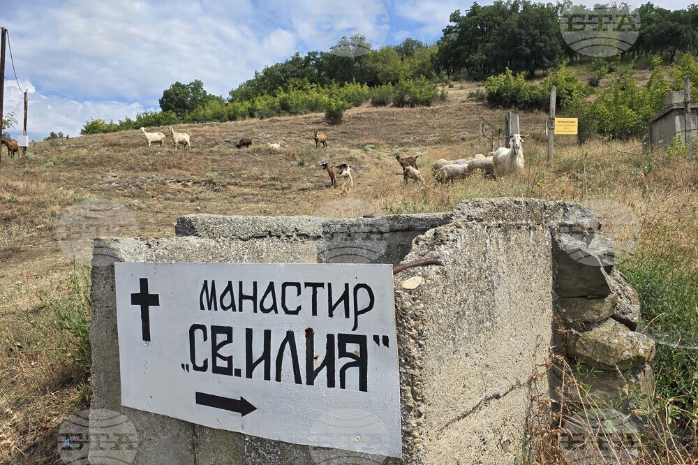 Село Чинтулово - Свети пророк Илия - литургия