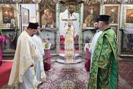 Село Градец - Видински митрополит Пахомий - литургия
