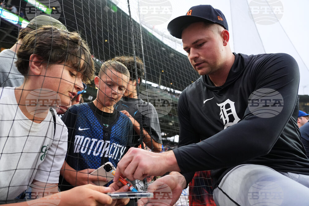 Tigers Cubs Baseball