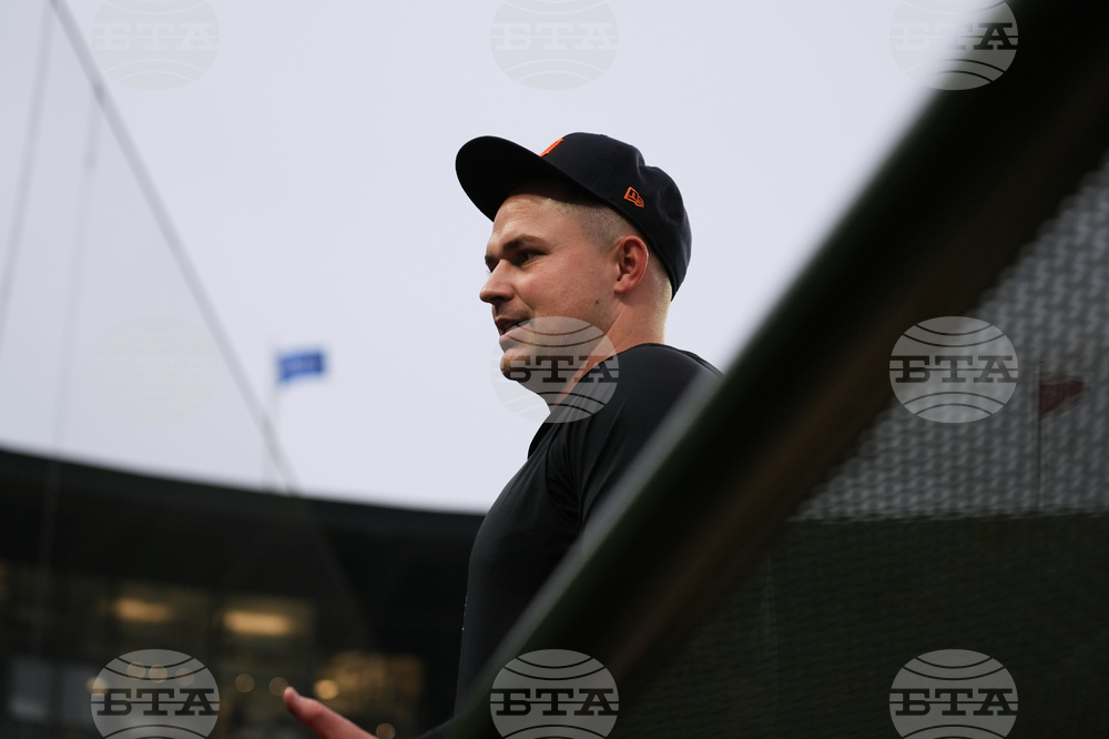 Tigers Cubs Baseball