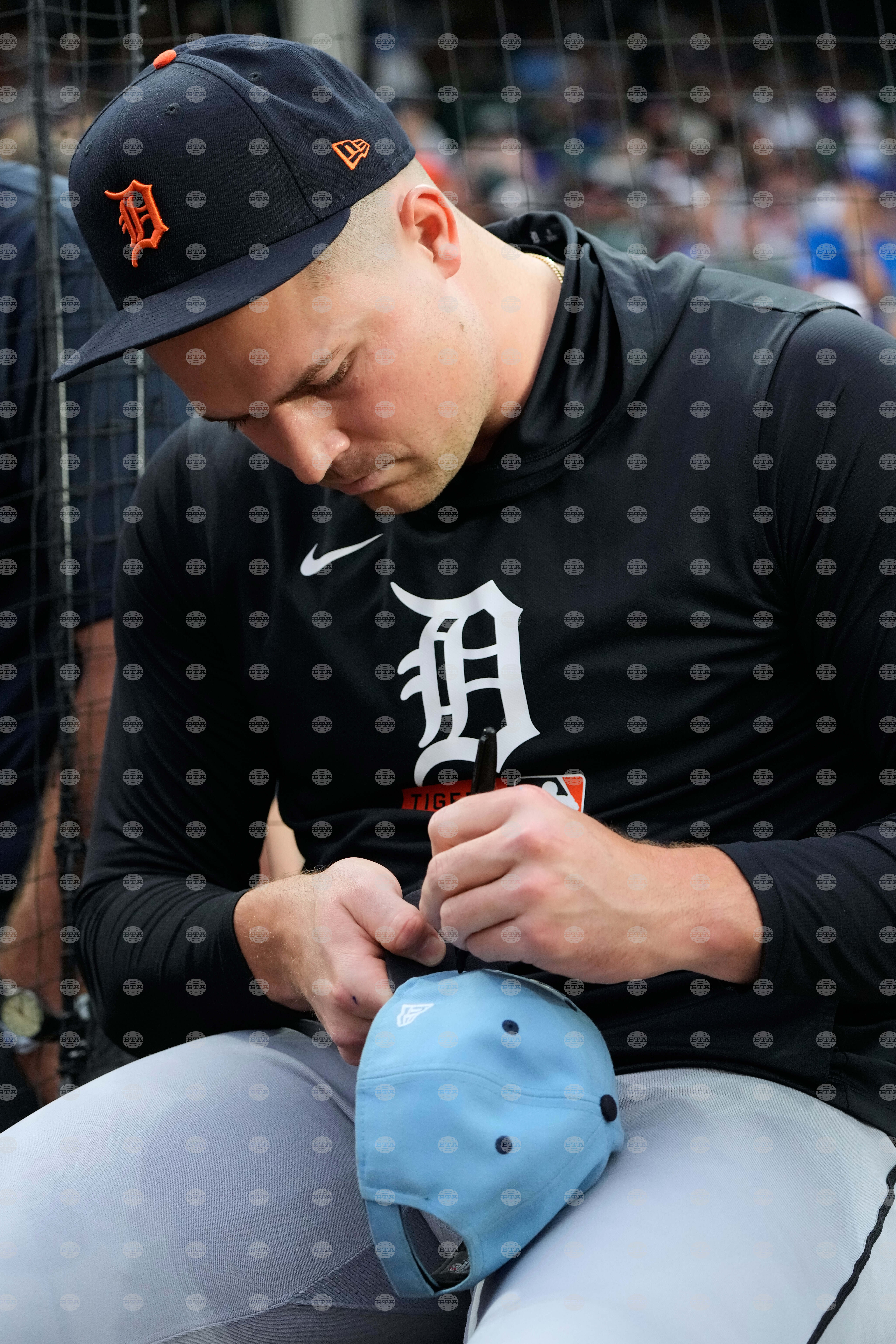 Tigers Cubs Baseball