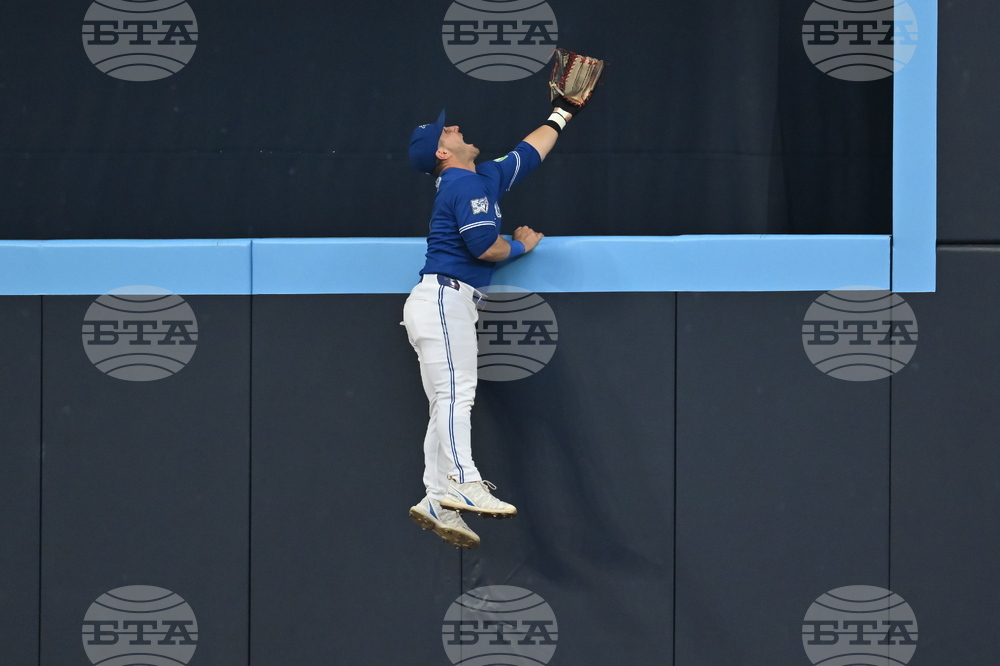 Rays Blue Jays Baseball