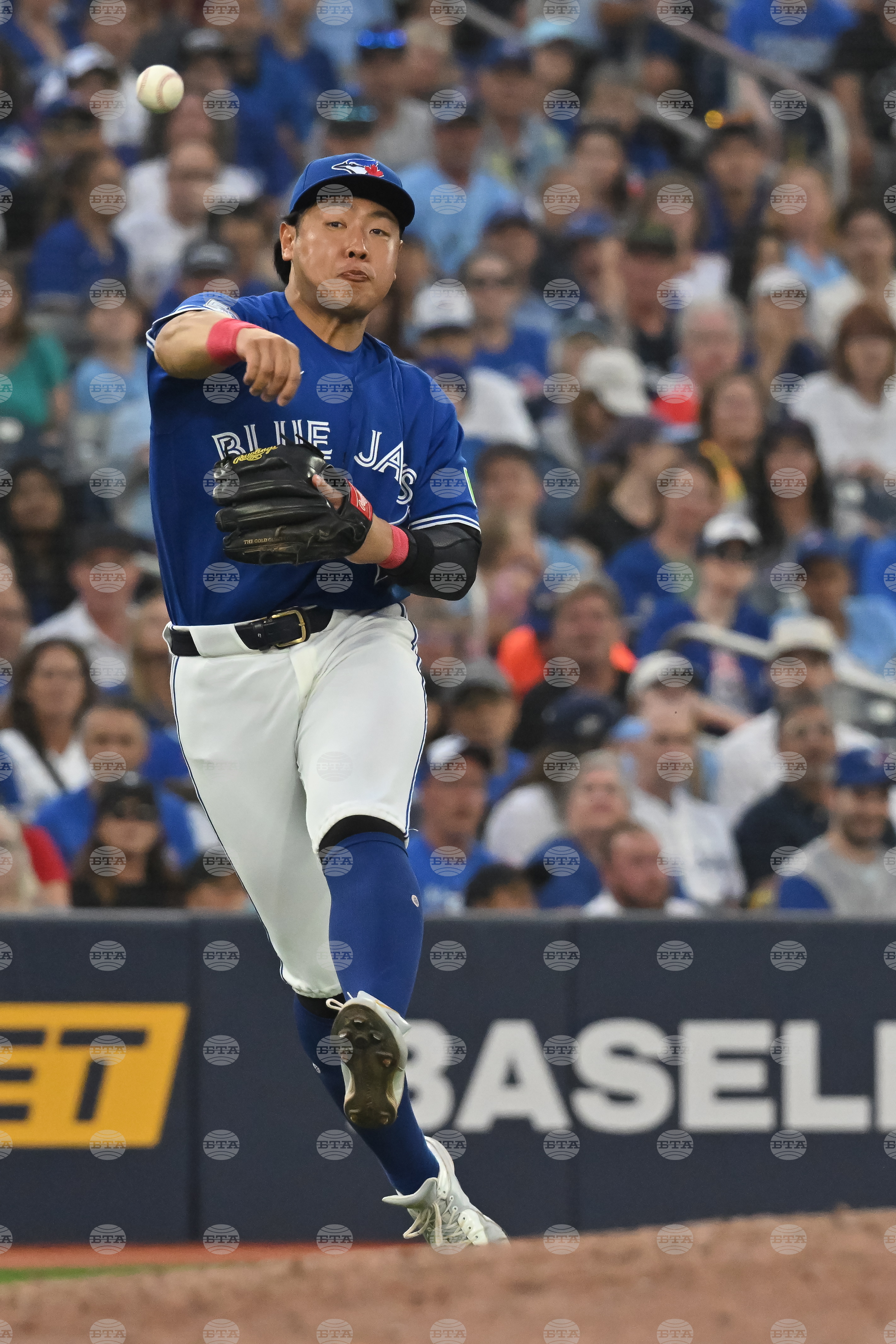 Rays Blue Jays Baseball