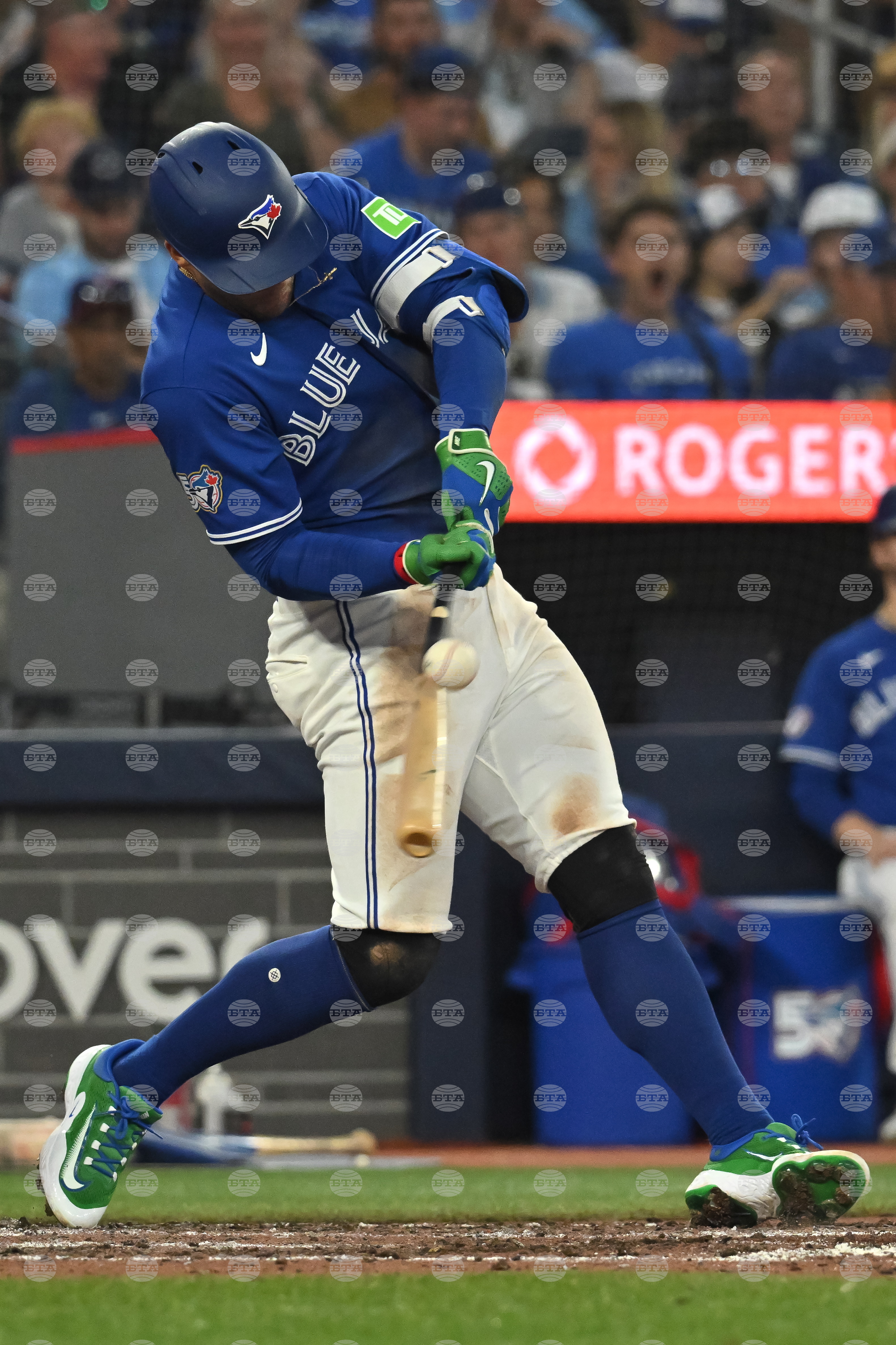 Rays Blue Jays Baseball