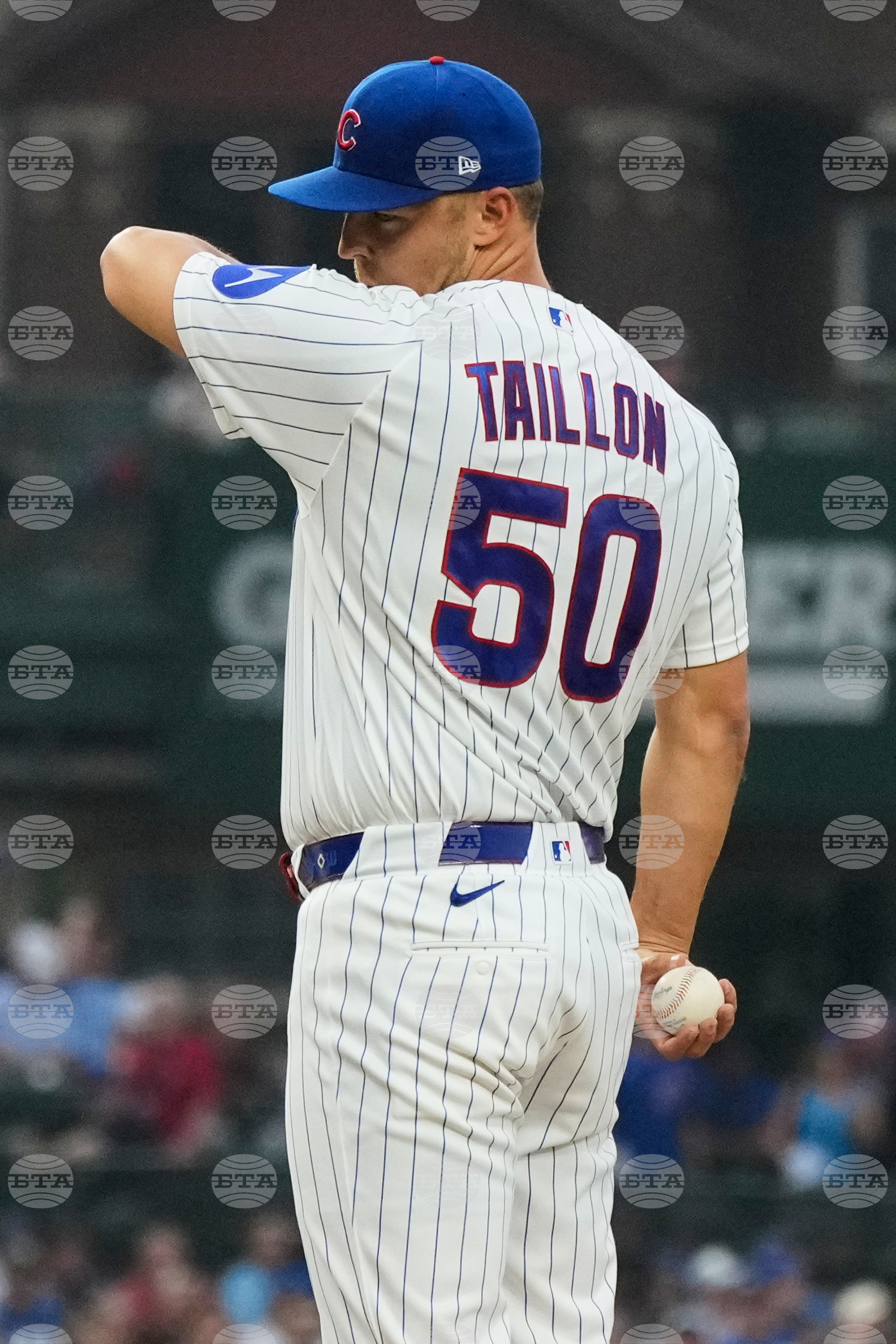 Tigers Cubs Baseball