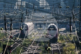 Germany Railway Alcohol Ban