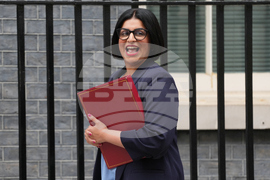 Britain Politics