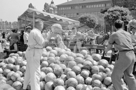 Софийски петъчен пазар - 1954 година