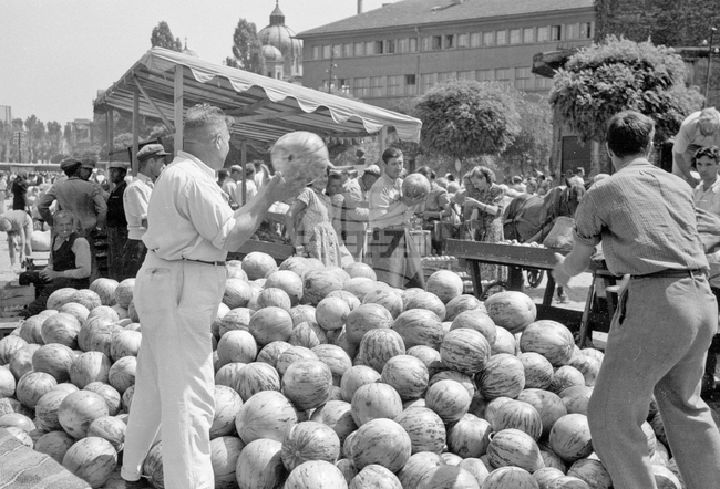 Софийски петъчен пазар - 1954 година