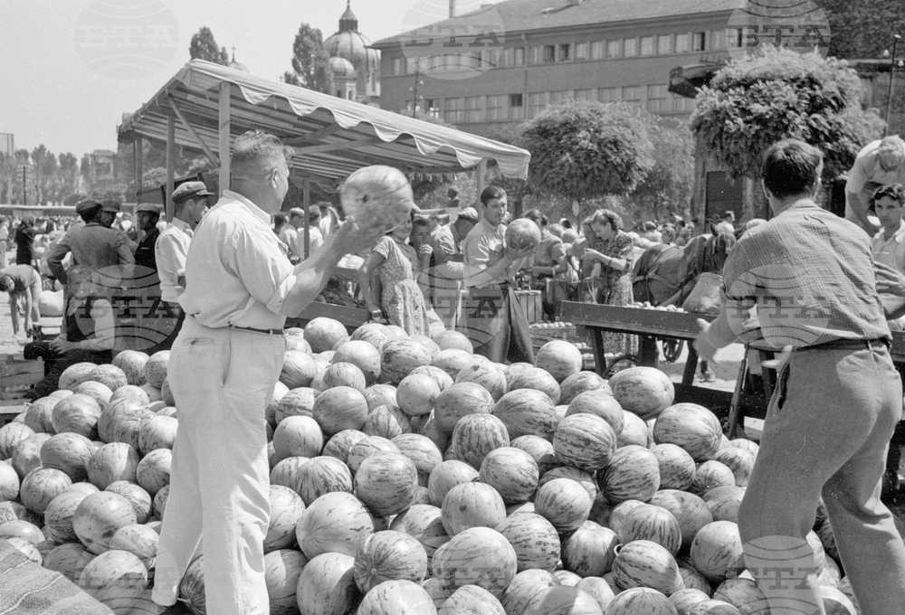 Софийски петъчен пазар - 1954 година