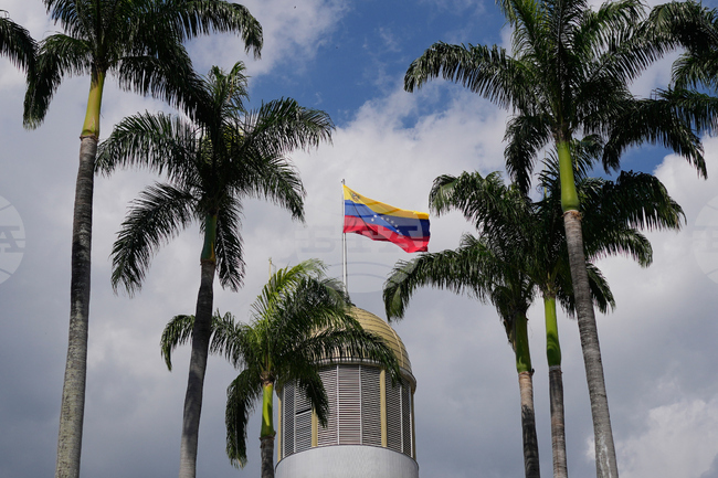 Venezuela Hantavirus