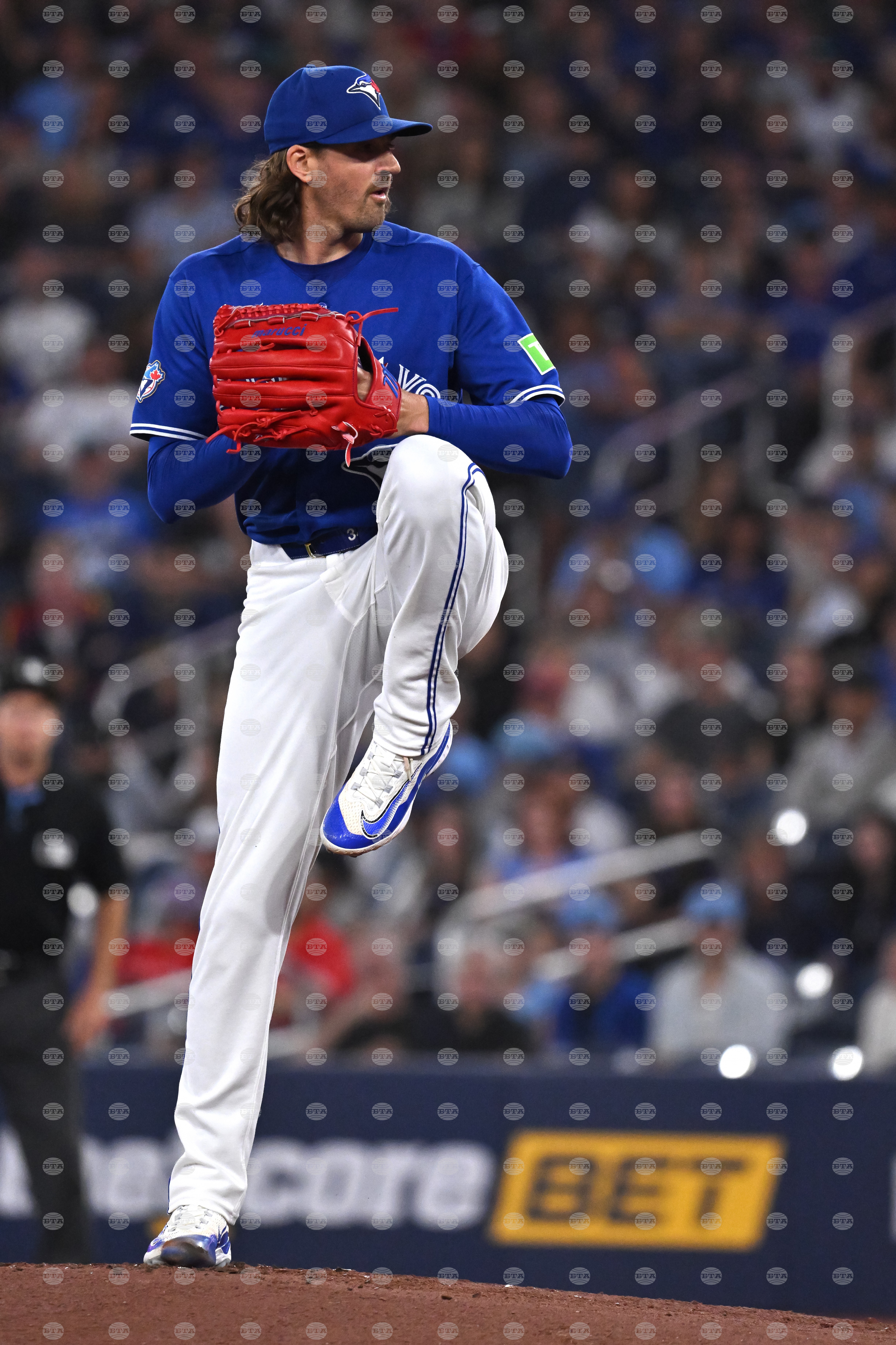 Rays Blue Jays Baseball