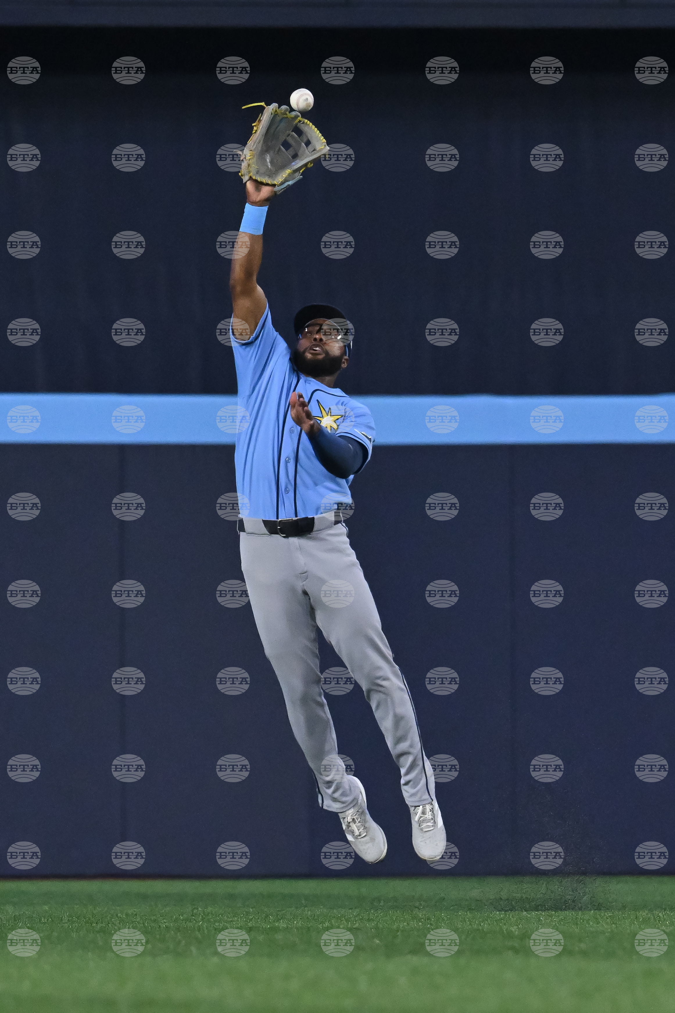 Rays Blue Jays Baseball