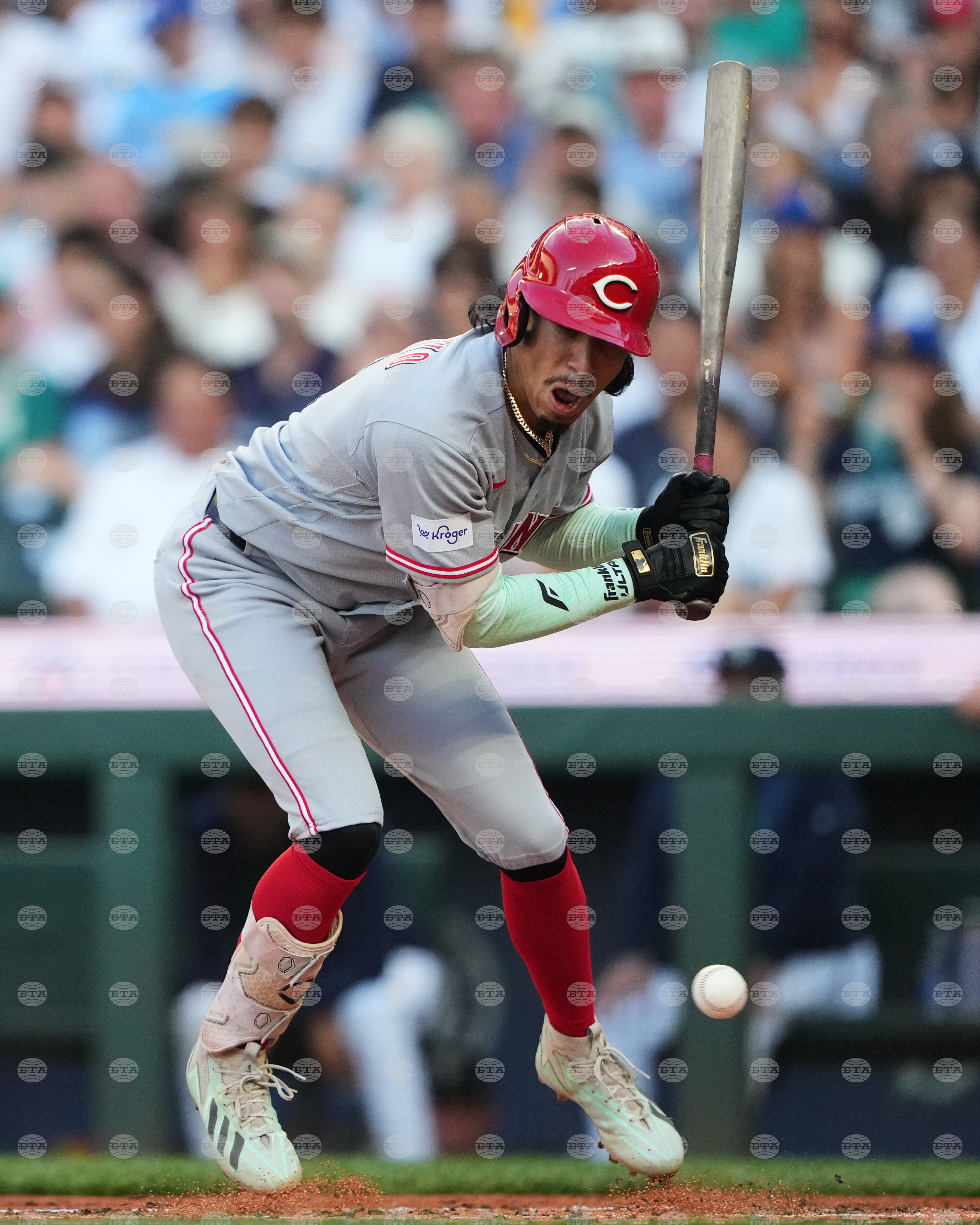 Reds Mariners Baseball