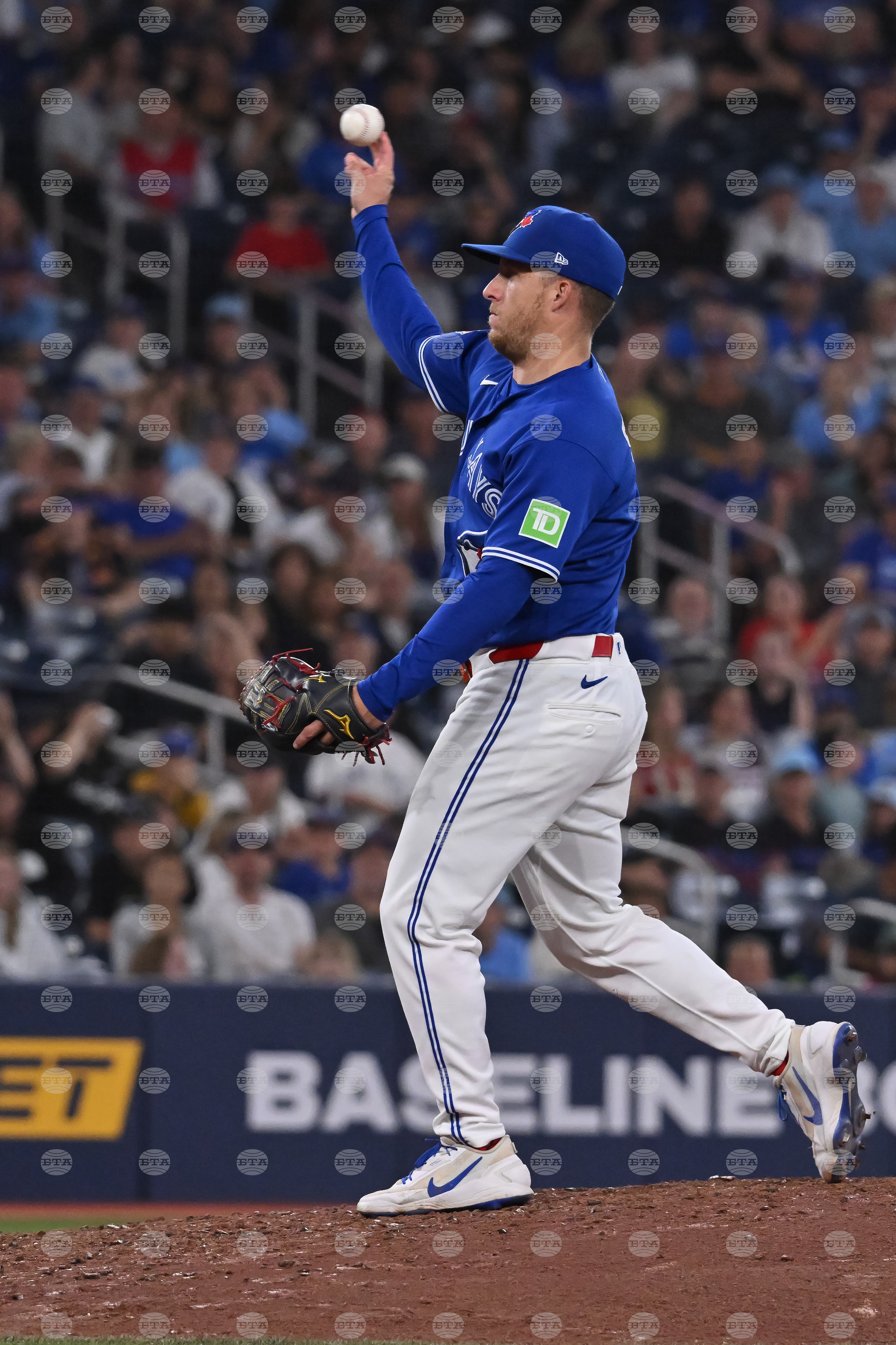 Rays Blue Jays Baseball