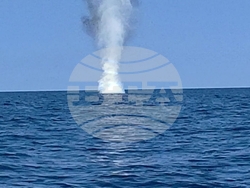 Снимка: Български Военноморски Сили