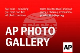 Top Verticals Photo Gallery