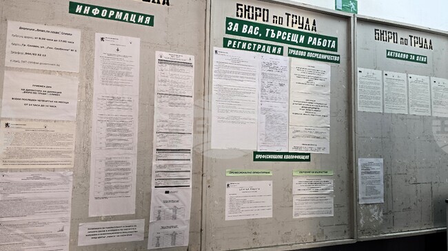 В Бюрото по труда в Сливен са обявени 28 свободни работни места за специалисти с висше образование