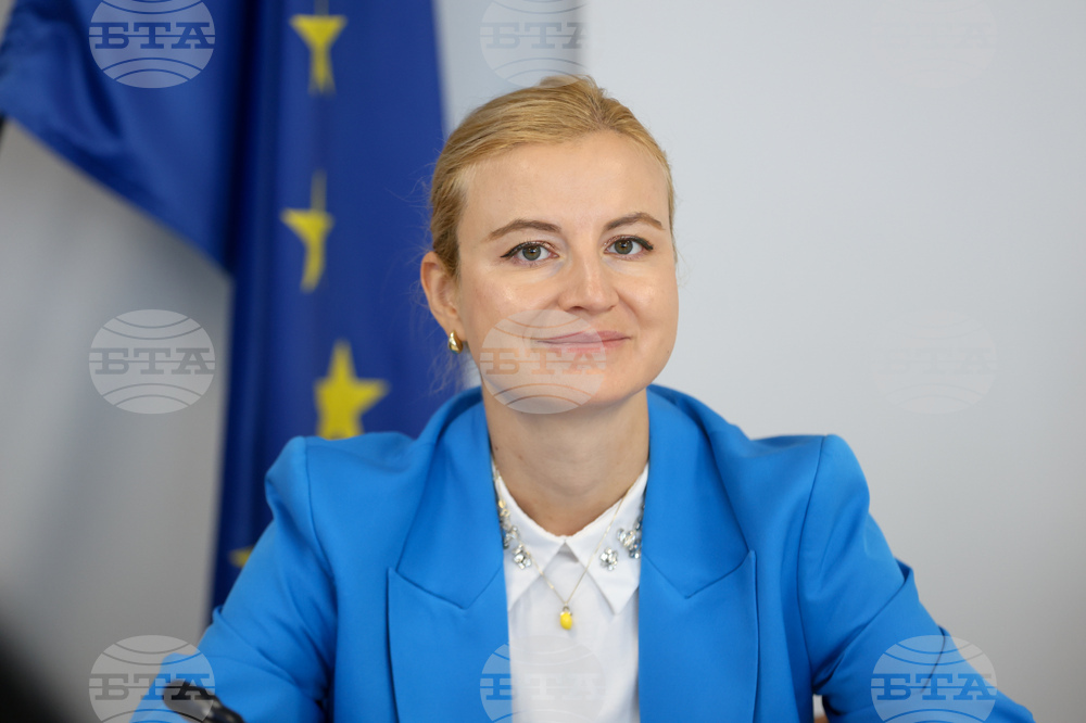 Съвет за електронни медии - дискусия