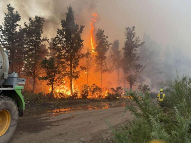 Forest Fires Set New Records Across Four Continents, Bulgaria Among Most Affected EU Countries, Woodworking Chamber Says