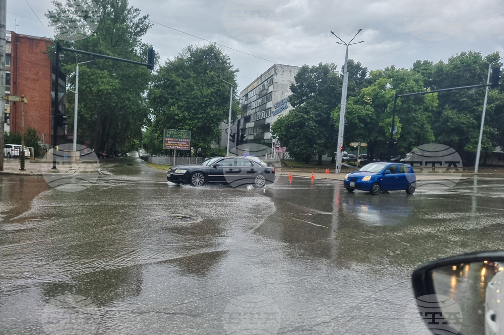 Добрич - валежи - обстановка