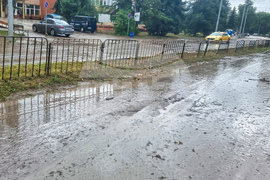 Добрич - валежи - обстановка