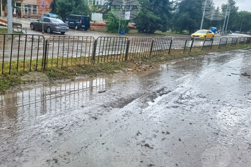 Добрич - валежи - обстановка