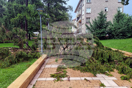 Ямбол - буря - щети