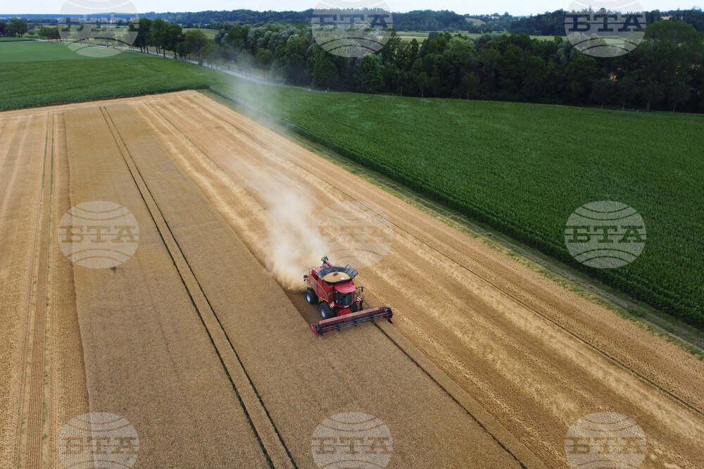 Germany Harvest