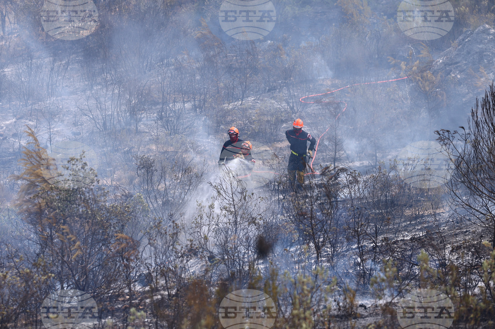 Europe Wildfires