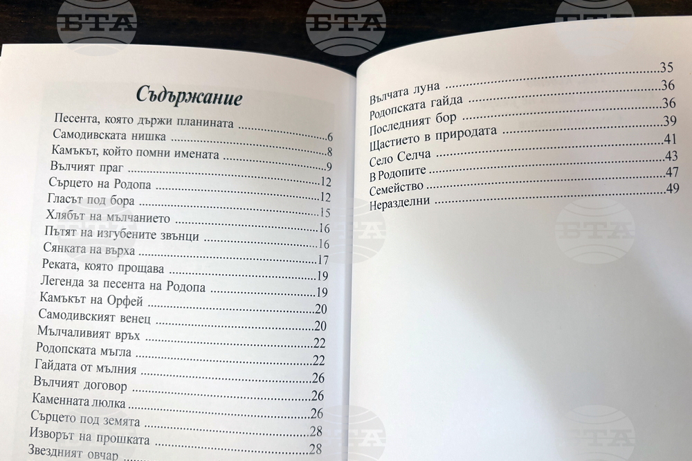 Самоков - Симеон Шакалов - книга