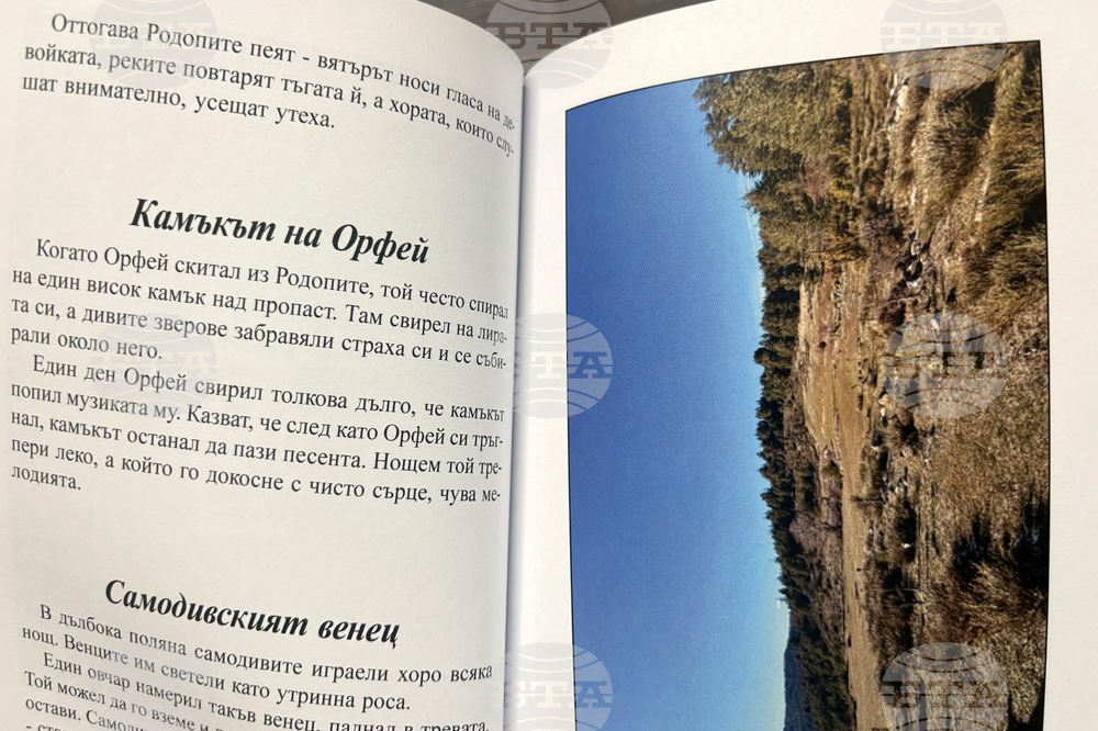 Самоков - Симеон Шакалов - книга