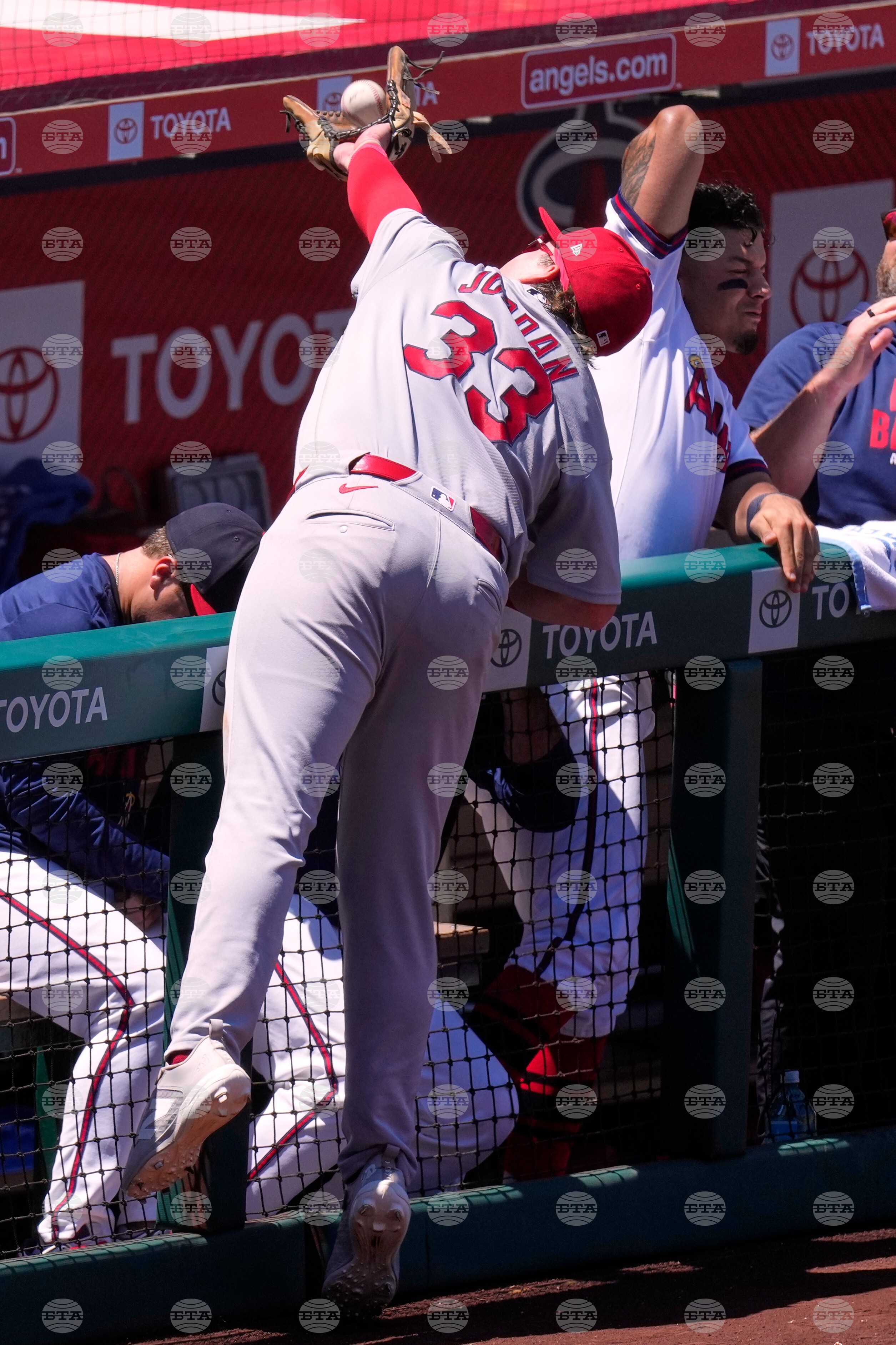 Cardinals Angels Baseball