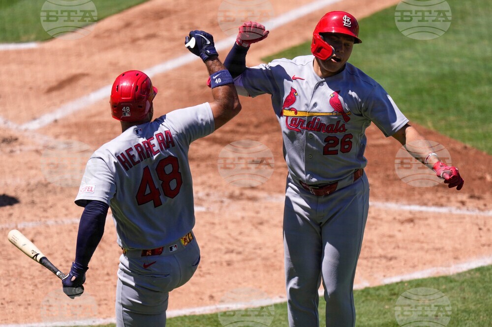 Cardinals Angels Baseball