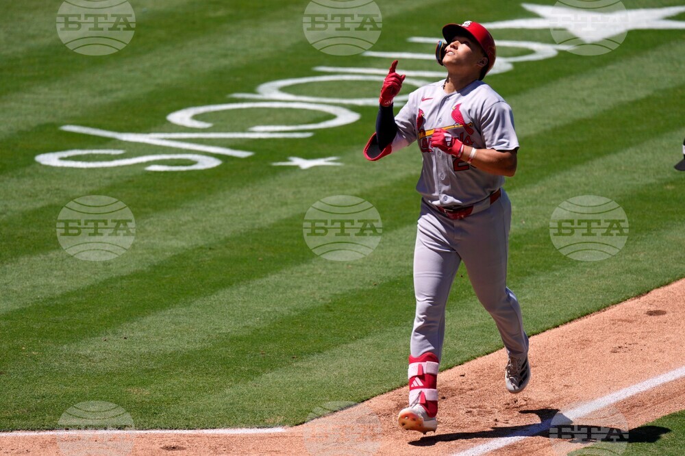 Cardinals Angels Baseball