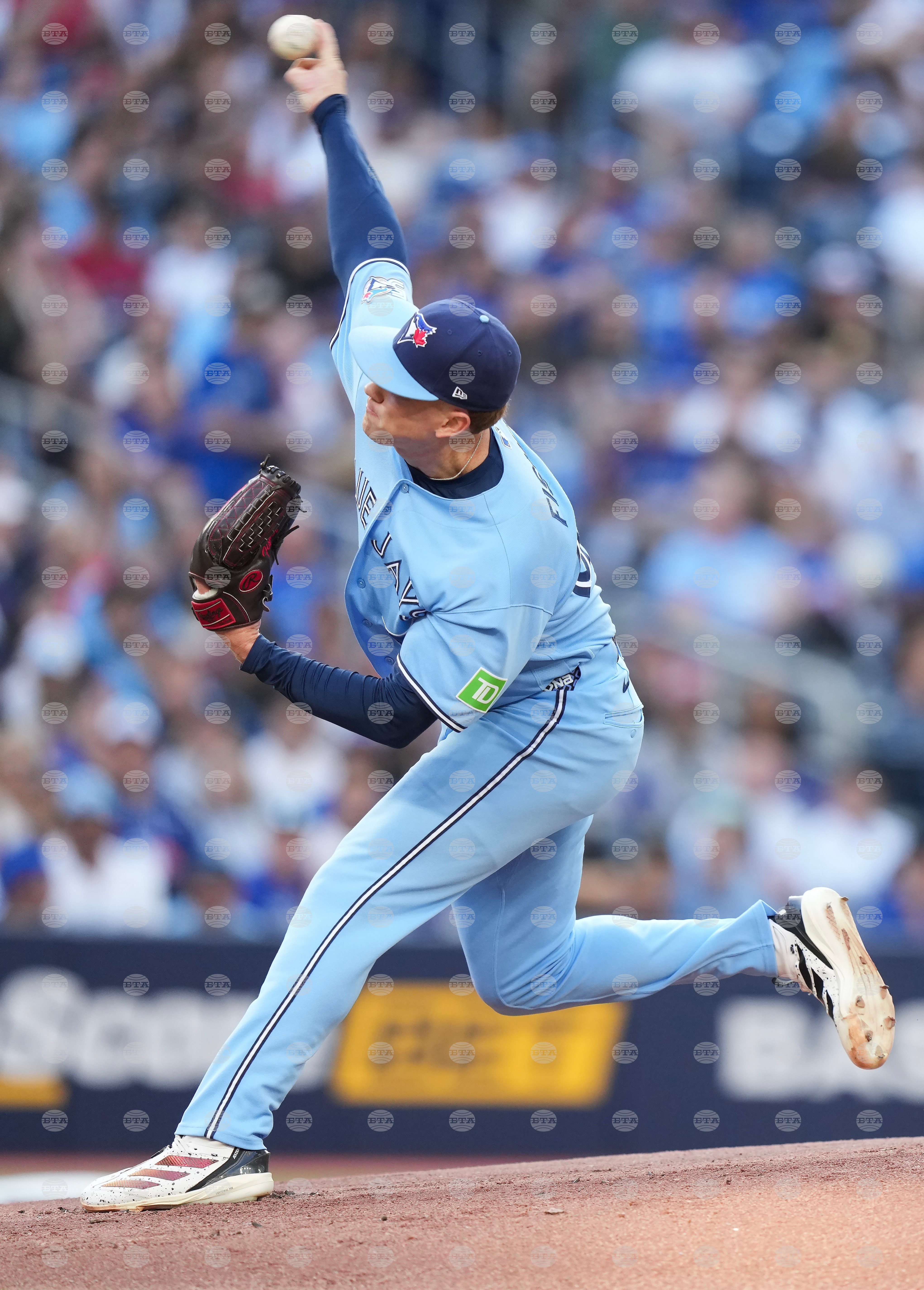 Rays Blue Jays Baseball