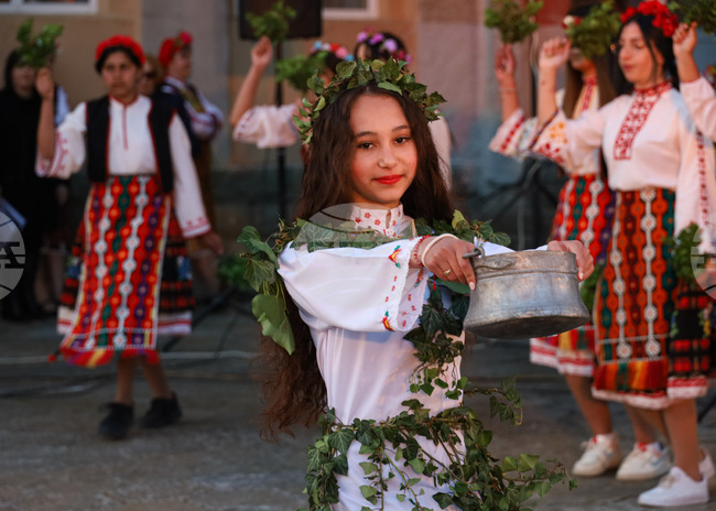 Село Трояново - традиционен събор