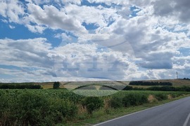 Село Скобелево - подписка