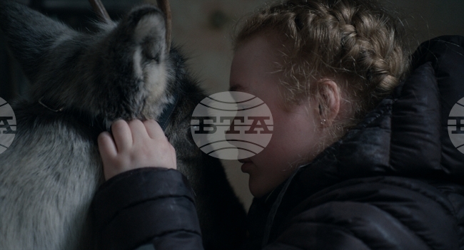 Bulgarian Co-production "Brace Your Heart" to Premiere at Toronto Film Festival
