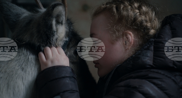Bulgarian Co-production "Brace Your Heart" to Premiere at Toronto Film Festival