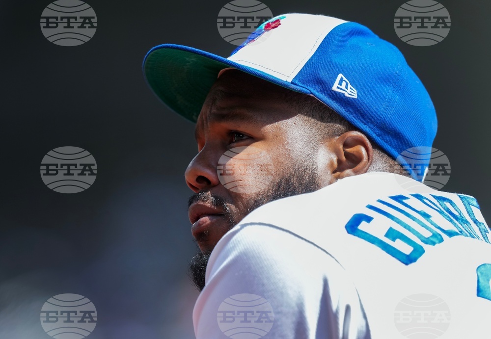 Rays Blue Jays Baseball