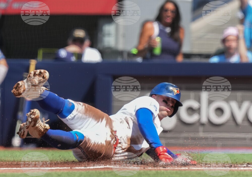 Rays Blue Jays Baseball