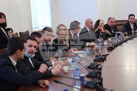 Парламент - Комисия по външна политика - заседание