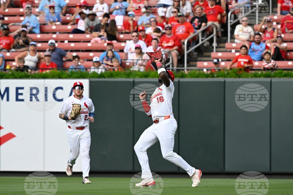 Diamondbacks Cardinals Baseball