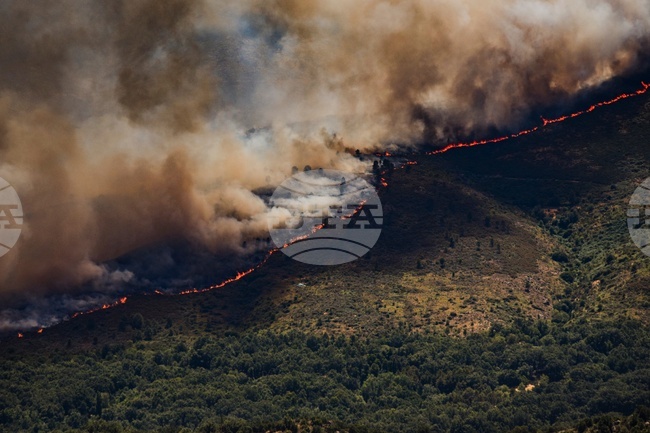 Spain Wildfires